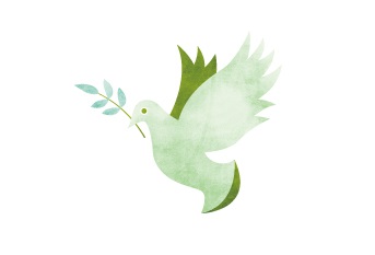 オリーブを咥えた鳩