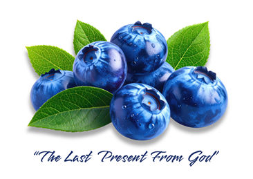 セラピー童話「神様からの最後のプレゼント」